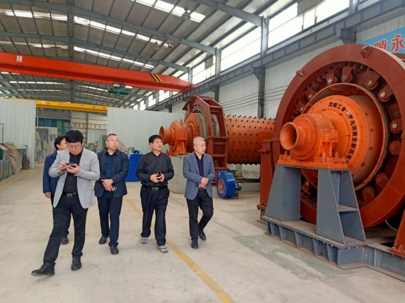市領導來公(gōng)司考察高低壓電(diàn)機和永磁直驅球磨機