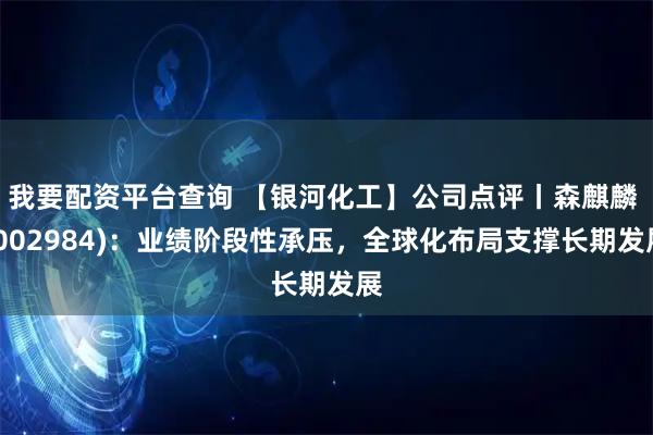 我要配资平台查询 【银河化工】公司点评丨森麒麟 (002984)：业绩阶段性承压，全球化布局支撑长期发展