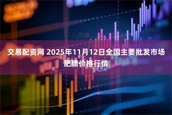 交易配资网 2025年11月12日全国主要批发市场肥膘价格行情
