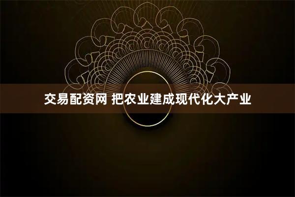 交易配资网 把农业建成现代化大产业